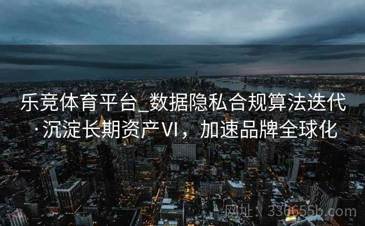 乐竞体育平台_数据隐私合规算法迭代·沉淀长期资产Ⅵ，加速品牌全球化