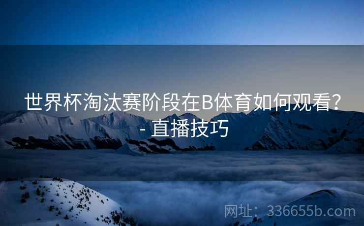世界杯淘汰赛阶段在B体育如何观看？ - 直播技巧